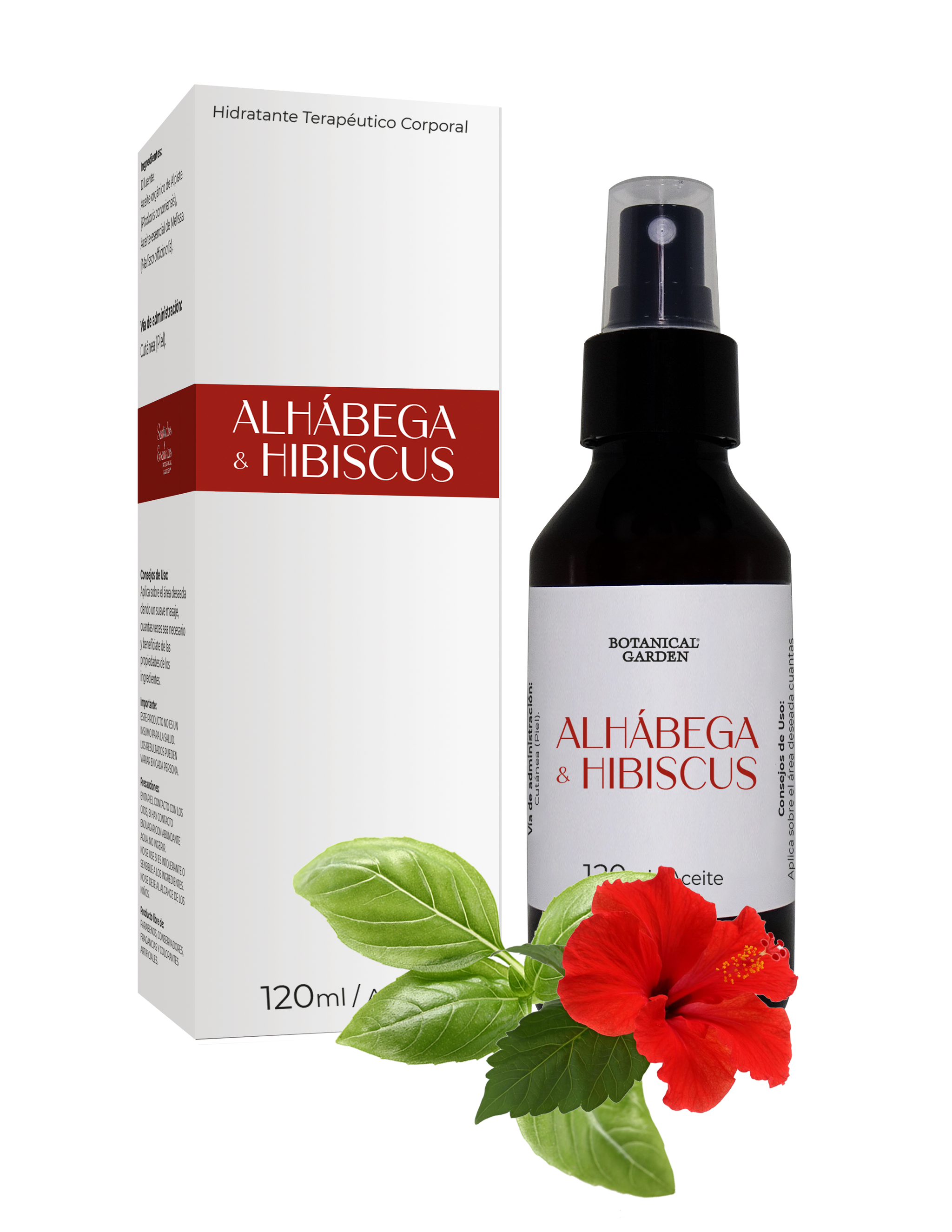 Alhábega & Hibiscus