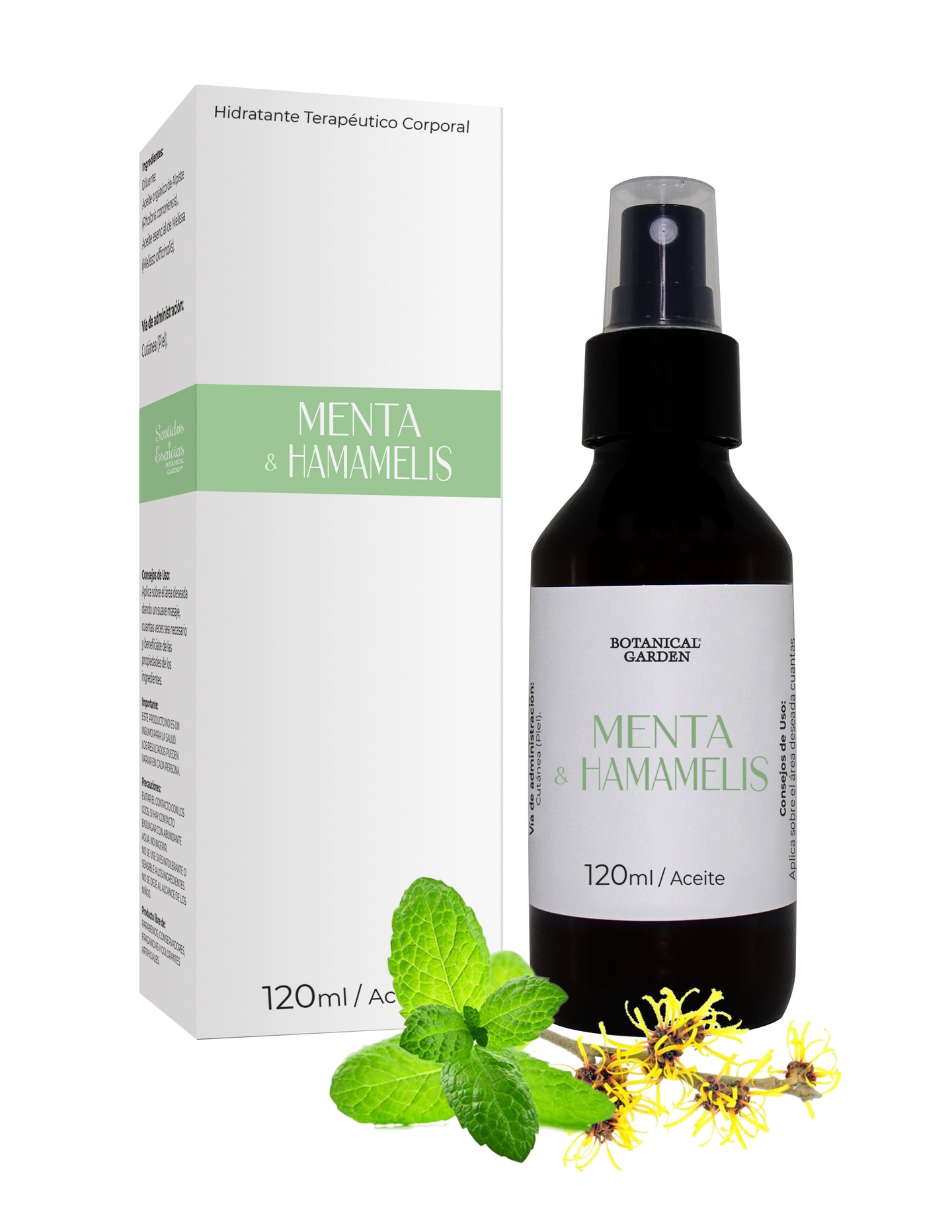 Menta & Hamamelis
