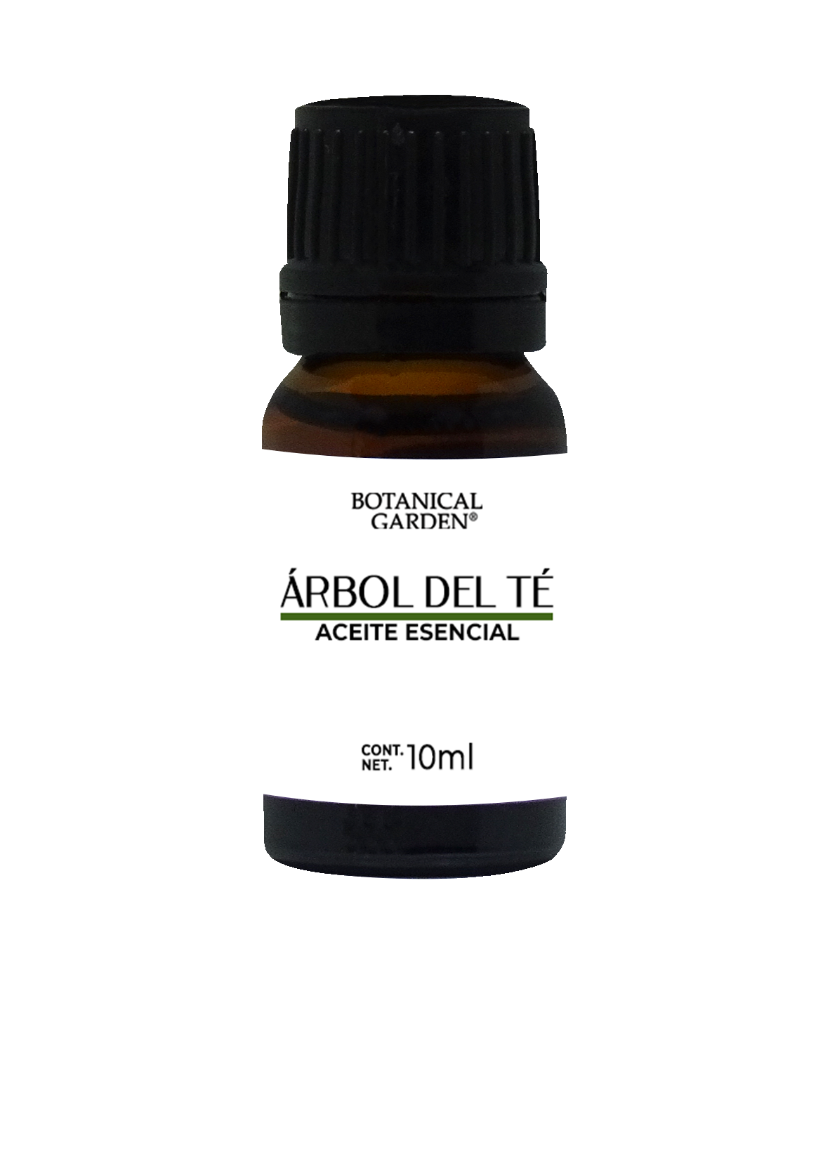 Árbol del té