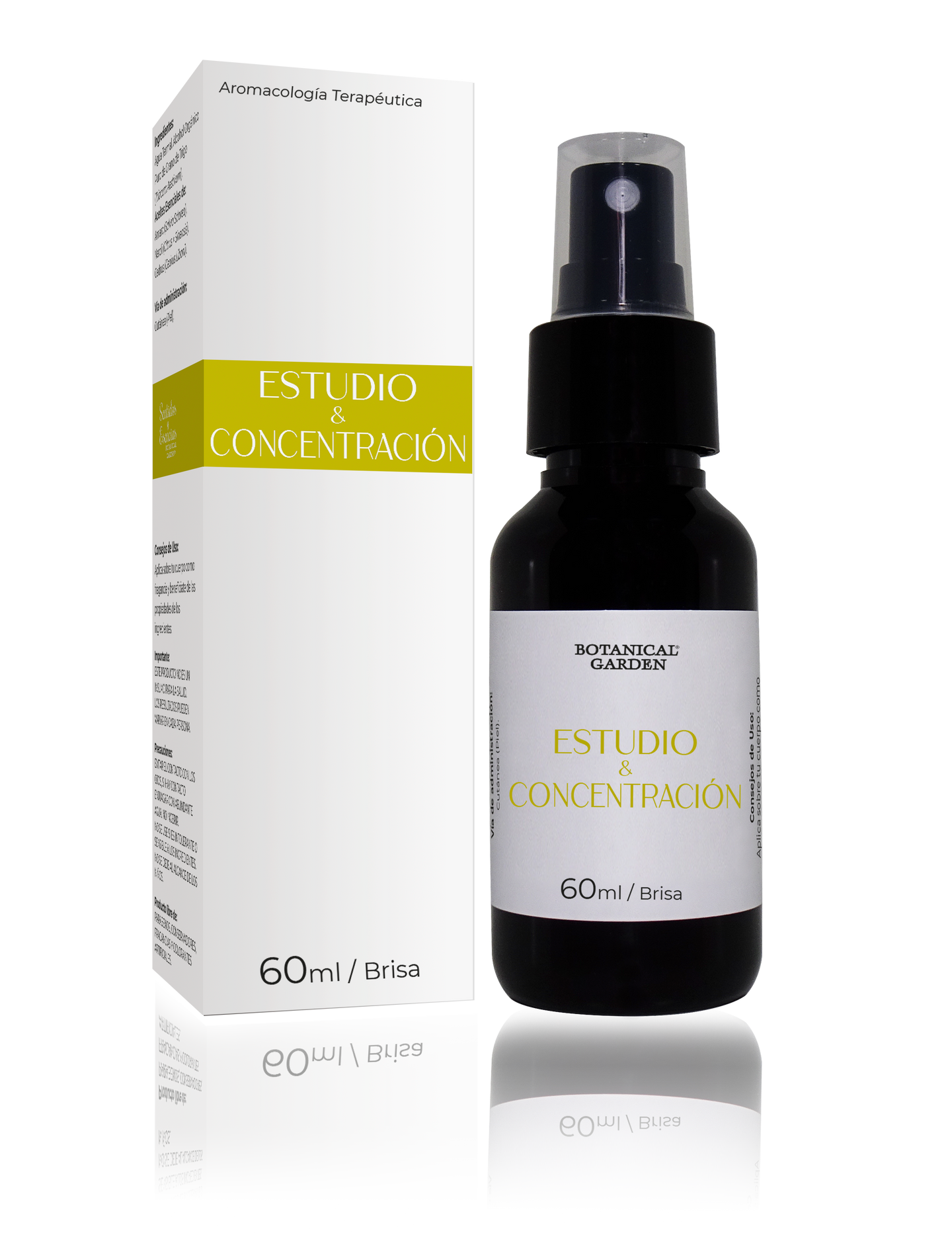 Estudio & Concentración